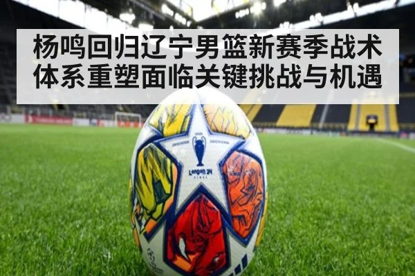 杨鸣回归辽宁男篮新赛季战术体系重塑面临关键挑战与机遇