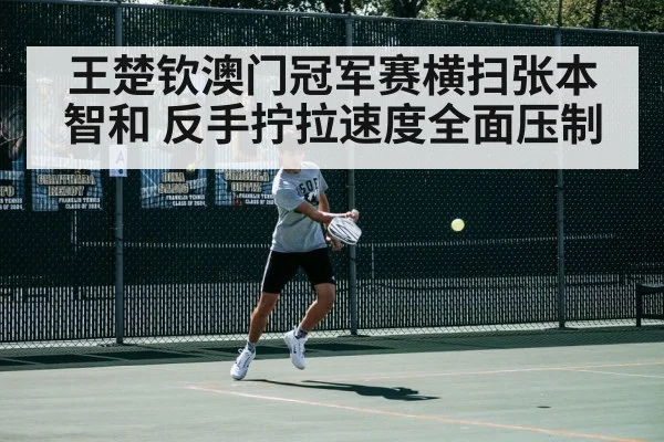 王楚钦澳门冠军赛横扫张本智和 反手拧拉速度全面压制